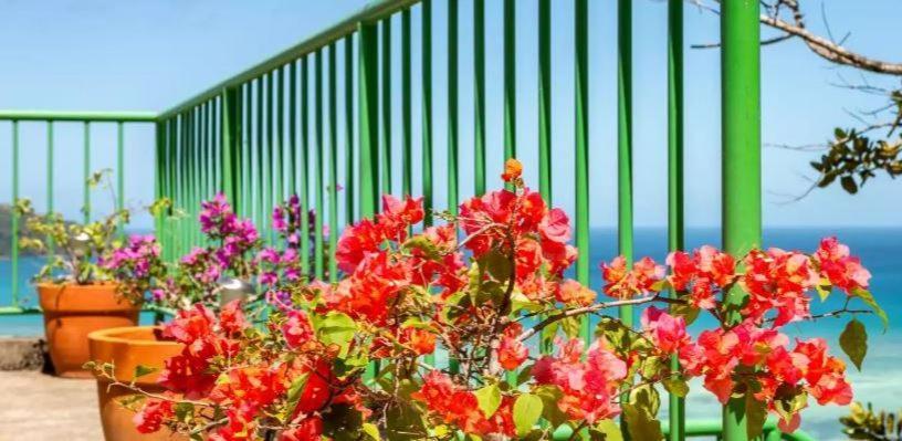 Manfiyo Guest House Anse Boileau エクステリア 写真