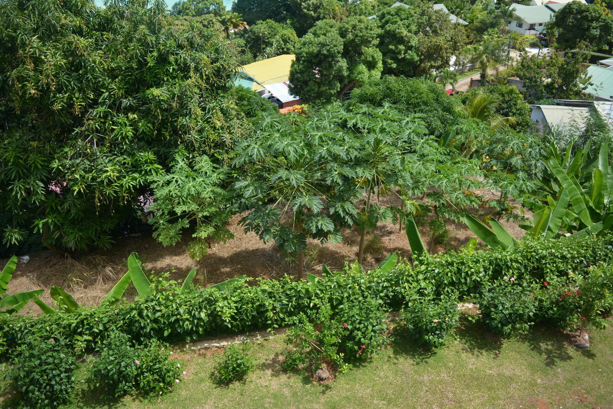 Manfiyo Guest House Anse Boileau エクステリア 写真